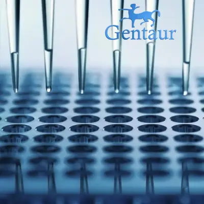 ELISA Kit for Peptide YY  PYY  size: 5*96 Tests  copy 