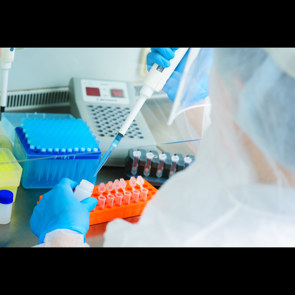 Human Telomere Length Quantification qPCR Assay Kitsize:100rxns