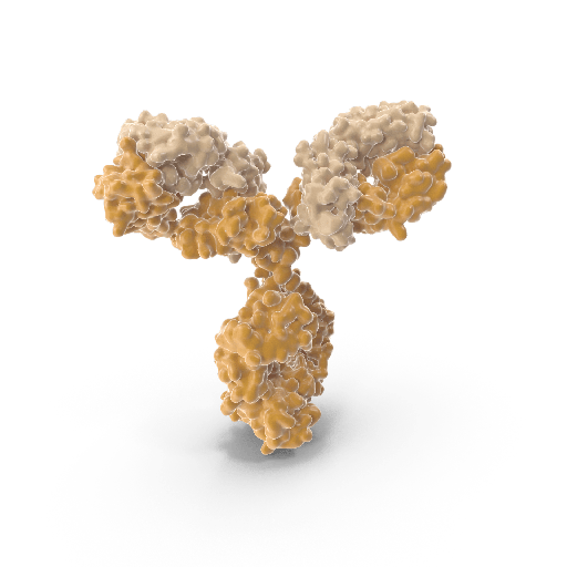 [0708-TAB-718LC-1MG] Antisize:human Integrin α4β7 Recombinant Antibody  J19 , Conj µgation: NONE, Endotoxin: RegµLar without removal, 1 mg